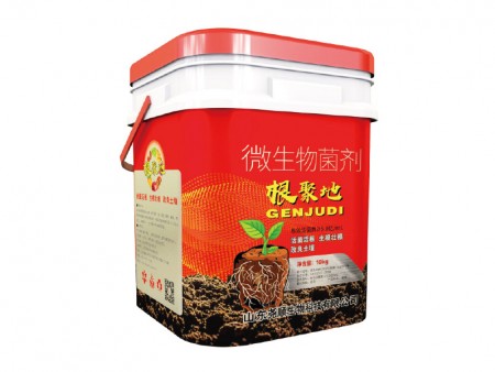 根聚地